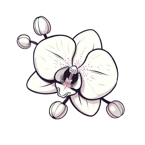 Standard library orchid docs